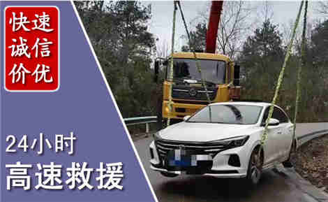 巴马高速公路救援场景与案例